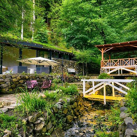 Abastumani Residence Exteriér fotografie